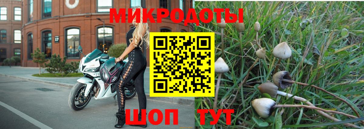 Псилоцибиновые грибы Magic Shrooms  Вход с VPN  Галлюциногенные грибы мицелий  магазин  наркотиков  Вологда 