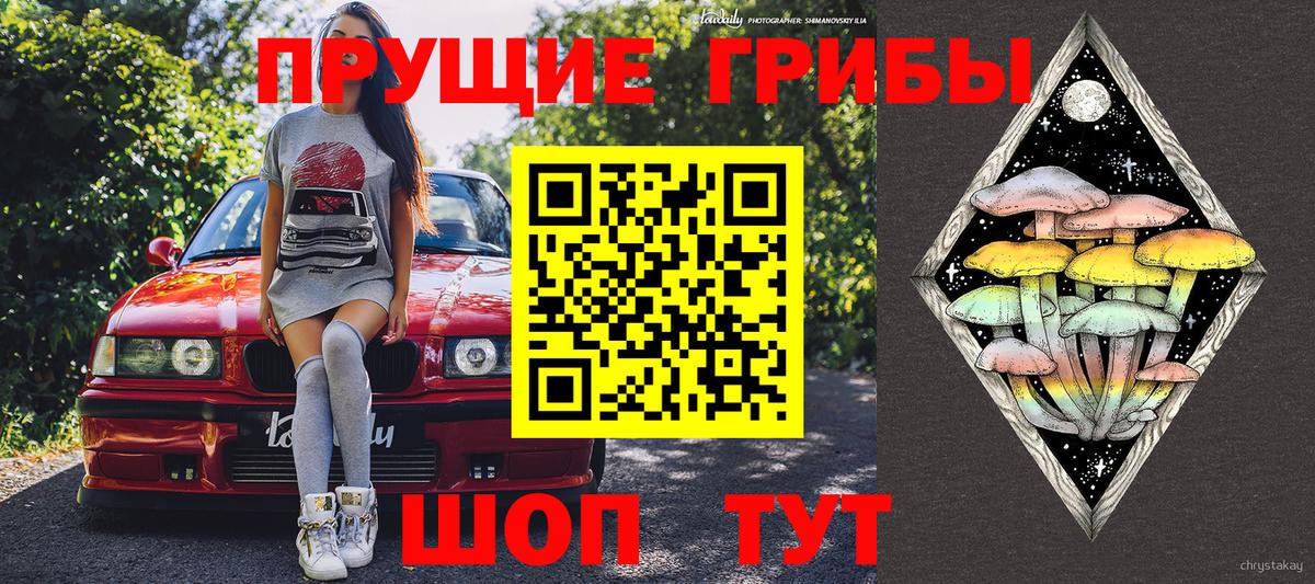 Галлюциногенные грибы ЛСД Вологда